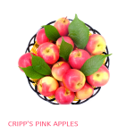 Cripp’s Pink & Pink Lady