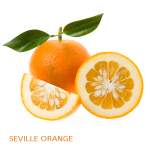 Seville (Bitter Orange)